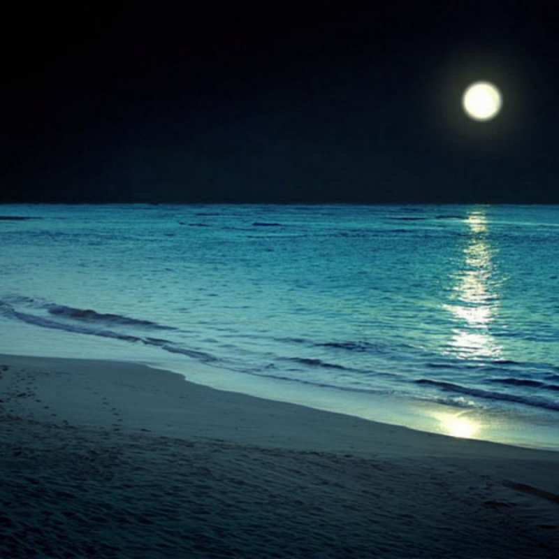 Открытка Ночь на песчаном берегу при свете луны нежное море ночью  Good night 